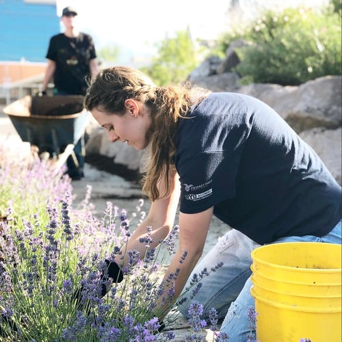 Provo_Volunteer_06_23_2018